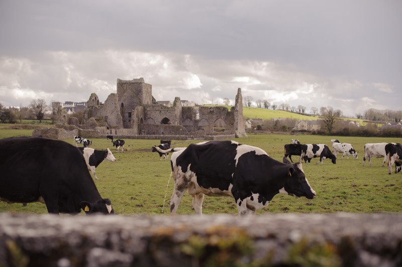 DSC_2967_RockOfCashel_CopyrightPaulaVermeulen