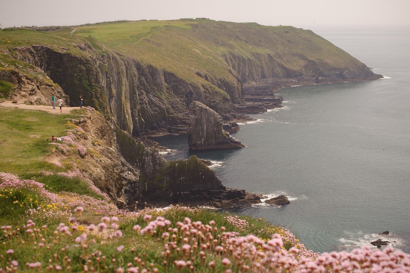 DSC_4068_OldHead_CopyrightPaulaVermeulen